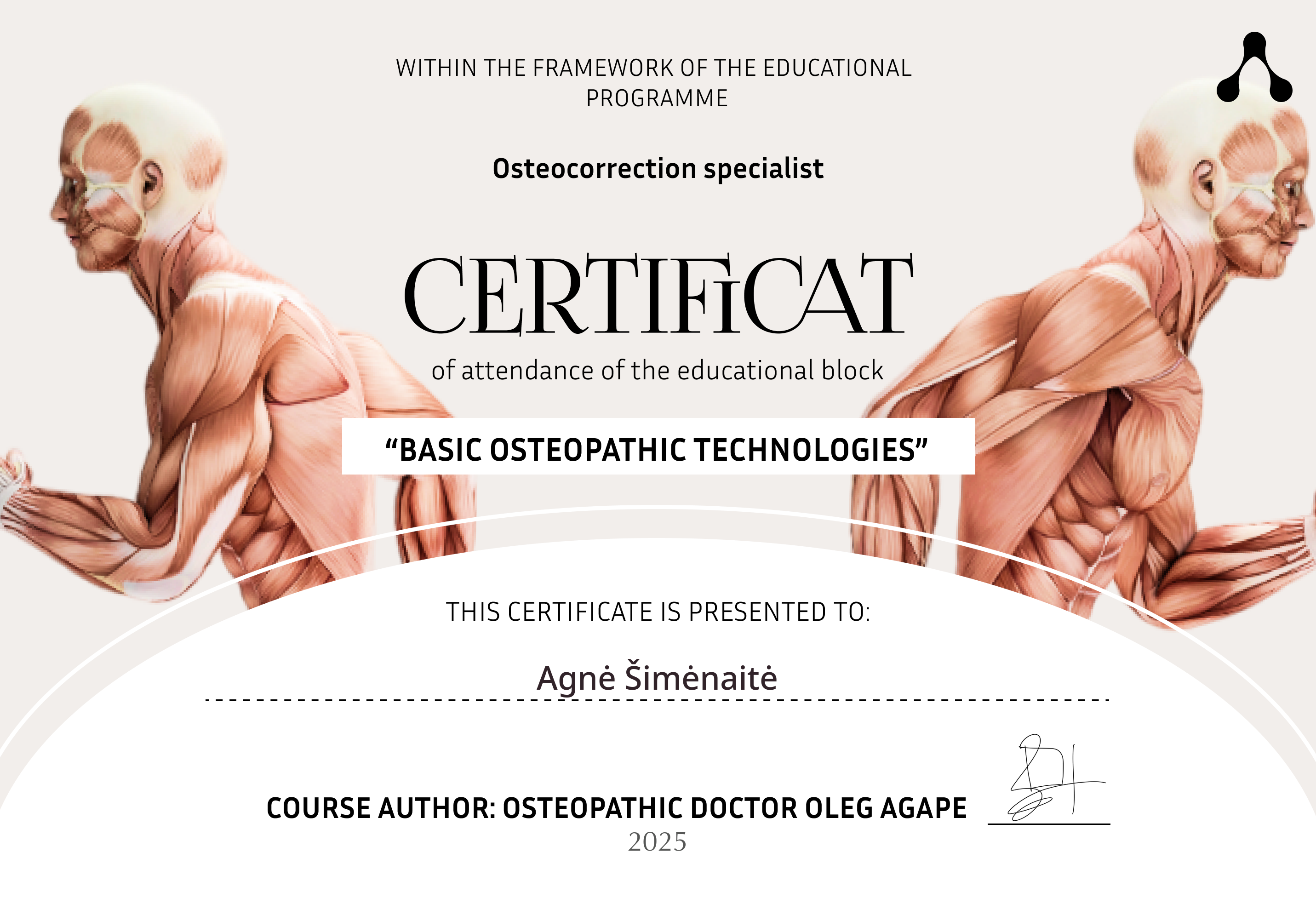 Basic Osteopathic Technologies